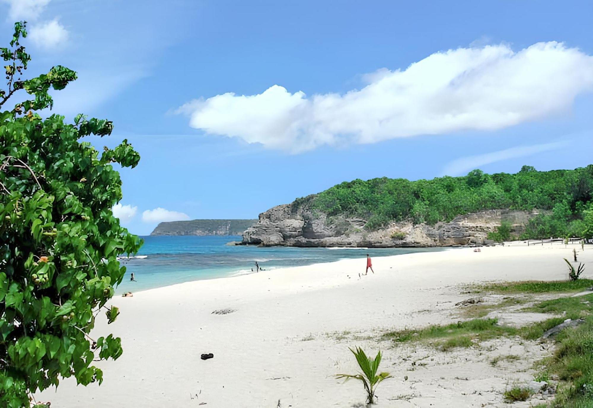 Maison Charmante A Anse-Bertrand Avec Jardin المظهر الخارجي الصورة