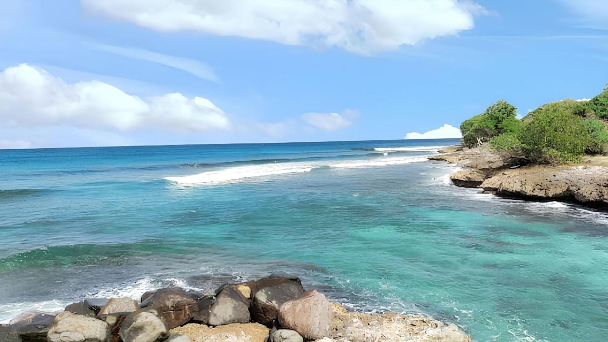 Maison Charmante A Anse-Bertrand Avec Jardin المظهر الخارجي الصورة